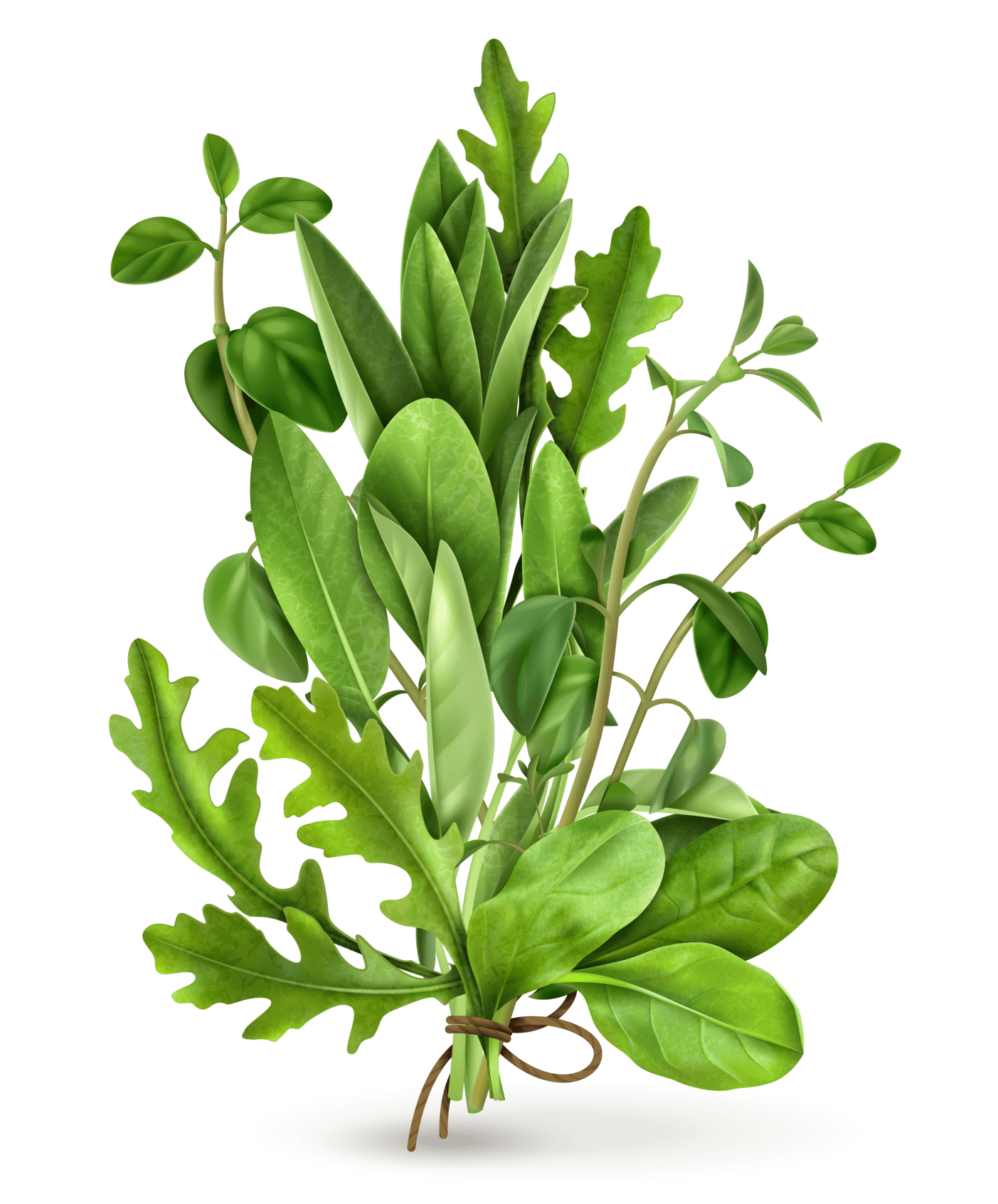 plant image