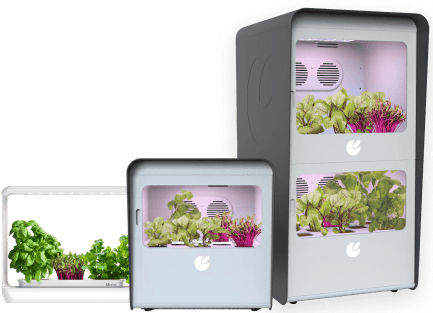 CityCrop Micro Device