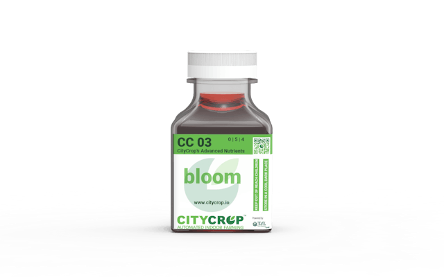 CC03 Bloom