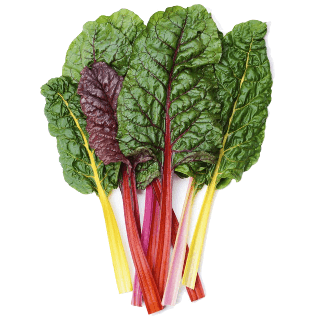 Swiss Chard