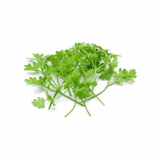 Coriander