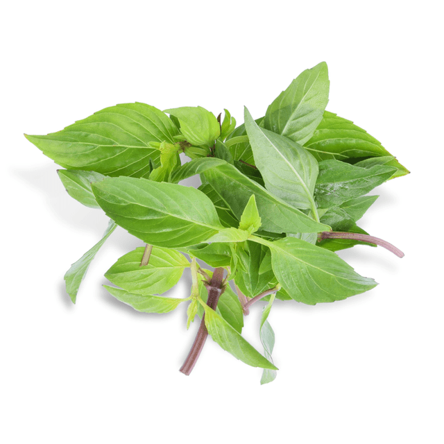 Thai Basil